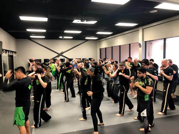 Premier Martial Arts Hardin Valley Picture 6