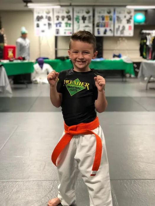 Premier Martial Arts Hardin Valley Picture 8