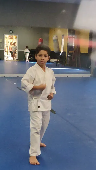 United Karate Studio Picture 3