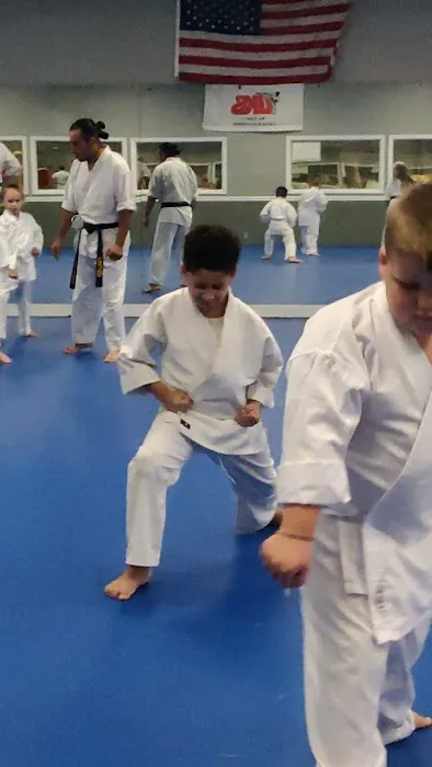United Karate Studio Picture 1