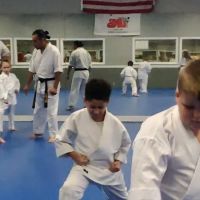 United Karate Studio ico