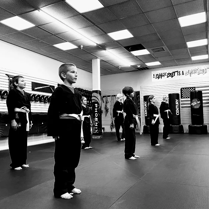 New Era Martial Arts Picture 10