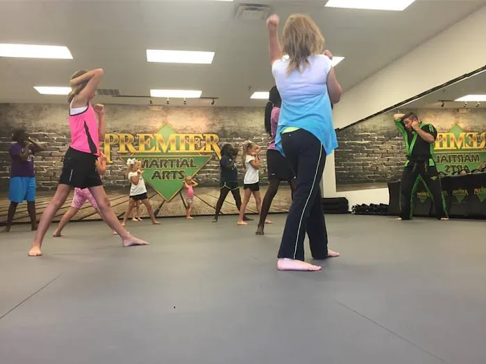 Premier Martial Arts Maryville Picture 2