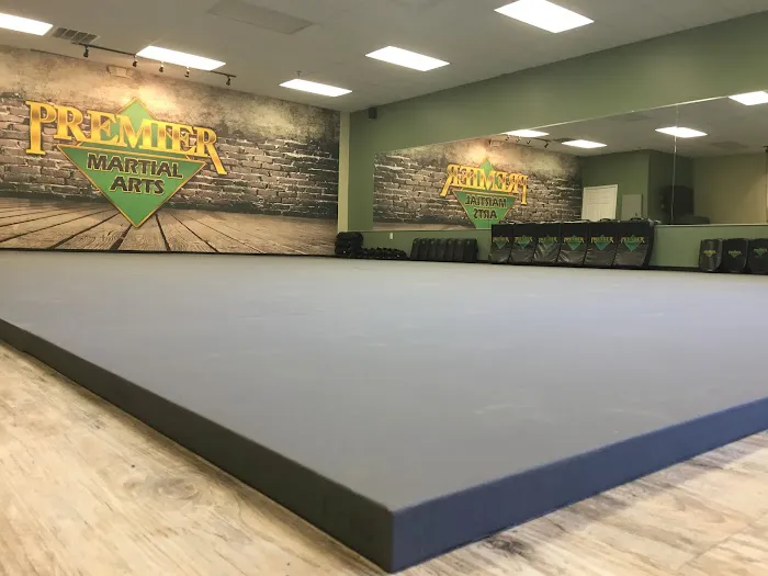Premier Martial Arts Maryville Picture 9