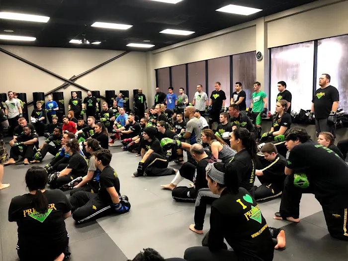 Premier Martial Arts Maryville Picture 8