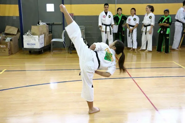 Premier Martial Arts Maryville Picture 5
