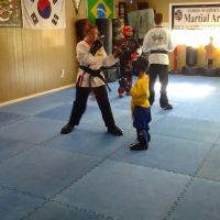 Chris Waddell's Martial Arts ico