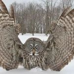 War Cross Martial Arts LLC