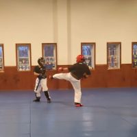 Haymore's United Karate ico