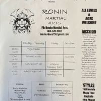 Ronin Martial Arts ico