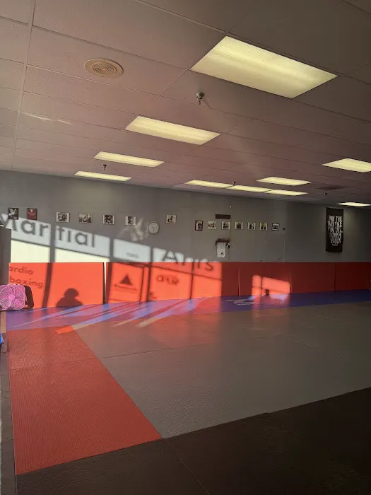 Resolute Martial Arts & Fitness Picture 2