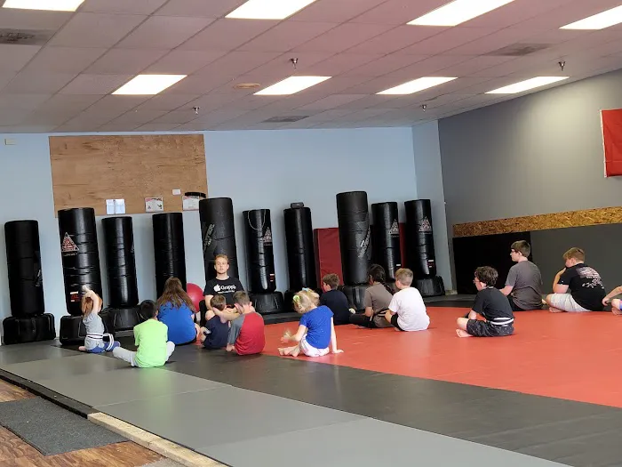 Resolute Martial Arts & Fitness Picture 7