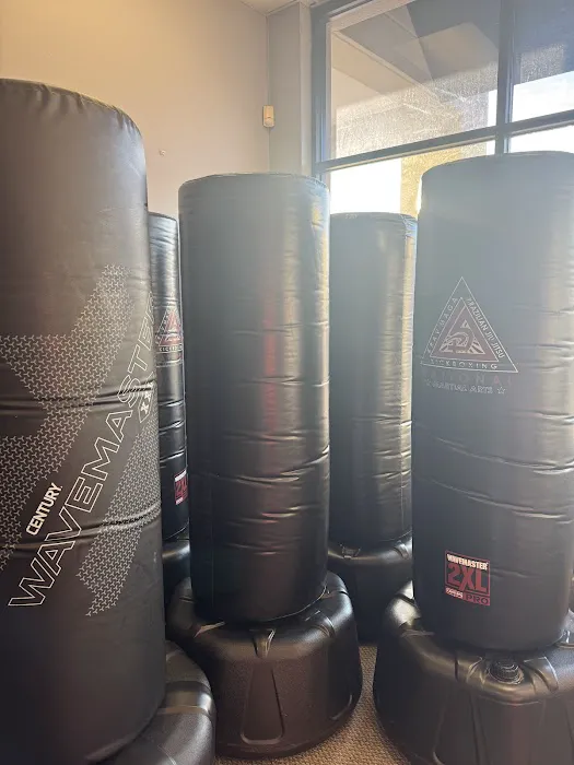 Resolute Martial Arts & Fitness Picture 10