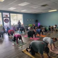 Warrior Heart USA - Martial Arts & Yoga ico