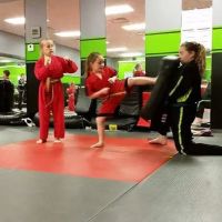 Fusion Martial Arts ico