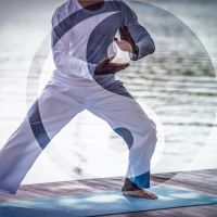 Jade Dragon Martial Arts Academy ico