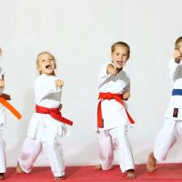 TTJC Karate ico