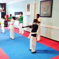 EGN International Karate & Fitness Center (Manhattan) ico