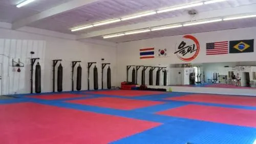 BP Martial Arts Academy Picture 1