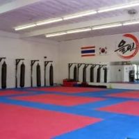 BP Martial Arts Academy ico