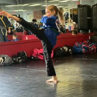 Super Kicks Karate ico