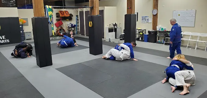 Resolve Martial Arts Picture 2