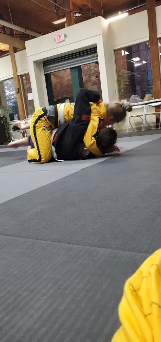 Resolve Martial Arts Picture 4