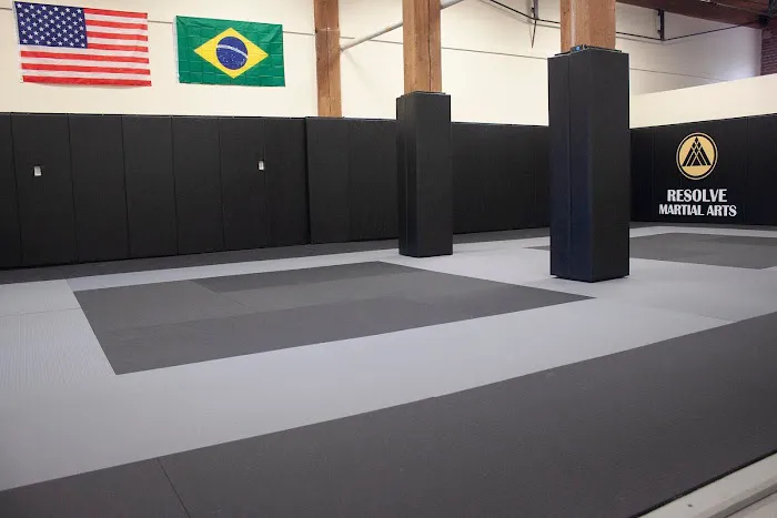 Resolve Martial Arts Picture 10