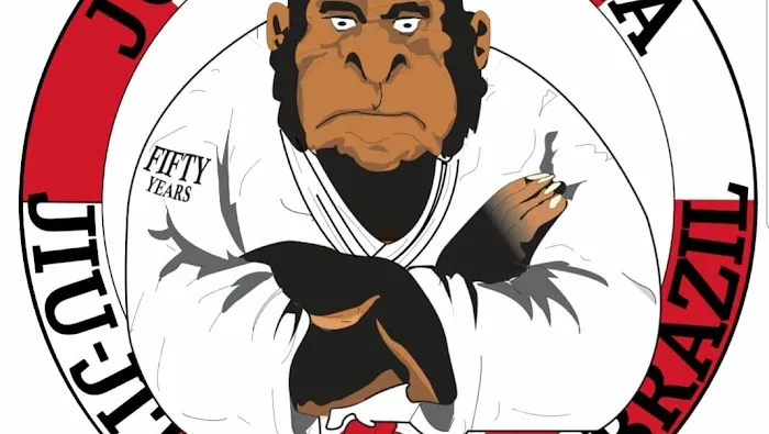 Team Moreira Jiu Jitsu Biddeford, Adult & Kid classes Picture 8