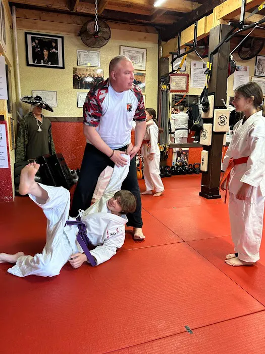 Team Fearless Martial Arts & Fitness / Primal Flow Fitness Picture 3