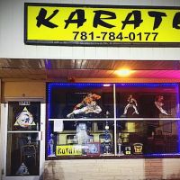 American Cadre Karate ico