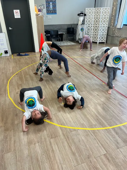 The San Francisco Capoeira Academy Picture 1