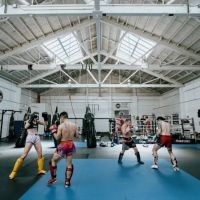 Rise Combat Sports ico