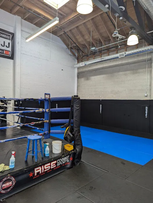 Rise Combat Sports Picture 6