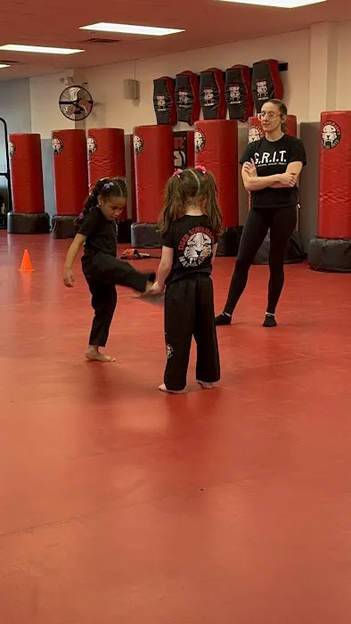 Tiger Schulmann's Martial Arts (Paramus, NJ) Picture 3