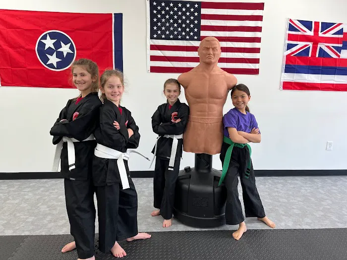 Universal Kempo-Karate School Hendersonville Branch Picture 2