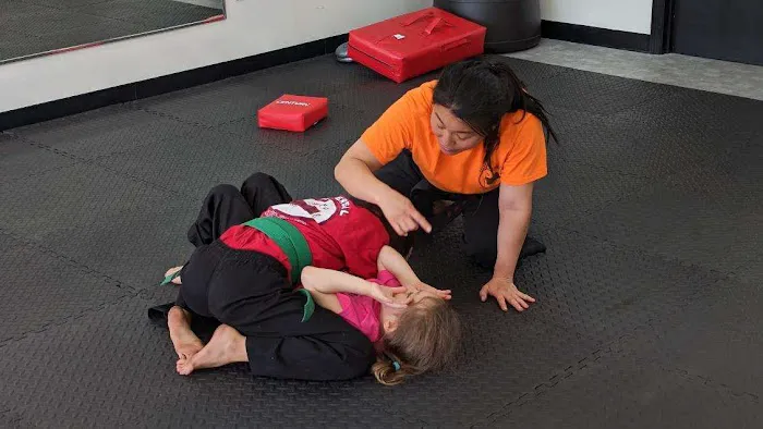 Universal Kempo-Karate School Hendersonville Branch Picture 4
