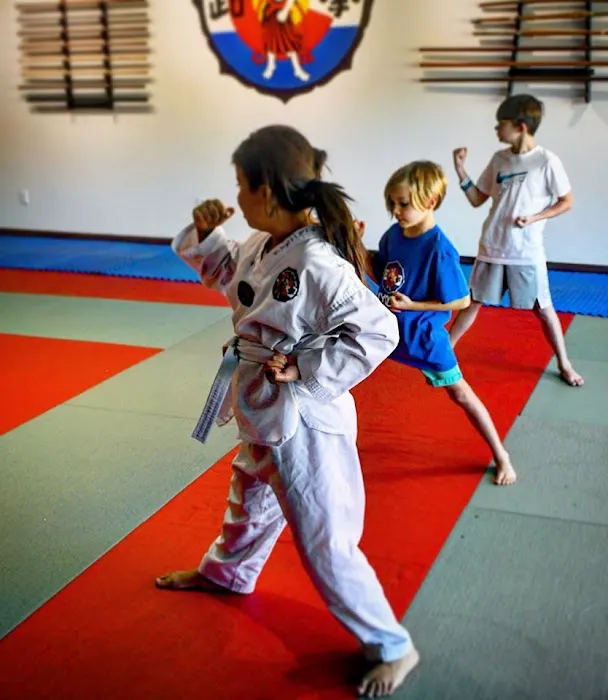 Inyodo Martial Arts Picture 2
