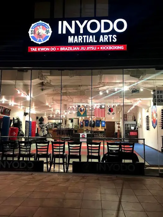 Inyodo Martial Arts Picture 6
