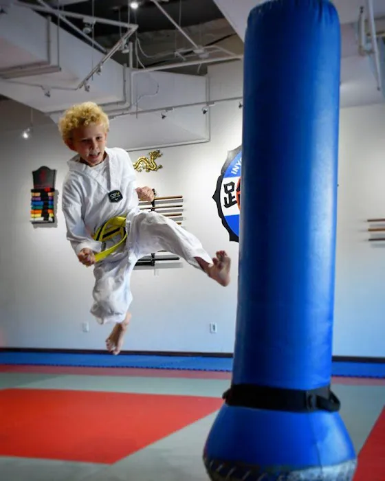 Inyodo Martial Arts Picture 10