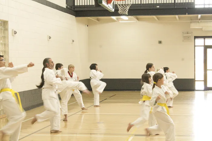 Sahn Taekwondo Picture 2