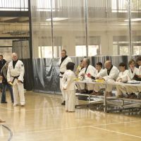 Sahn Taekwondo ico