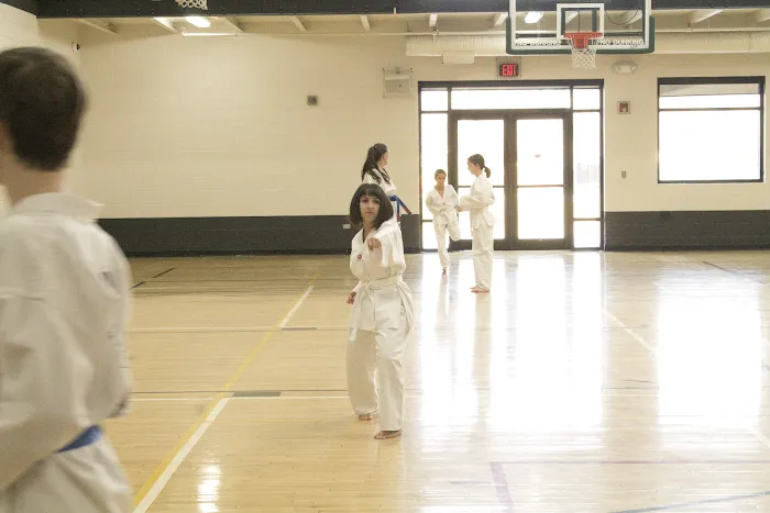 Sahn Taekwondo Picture 4