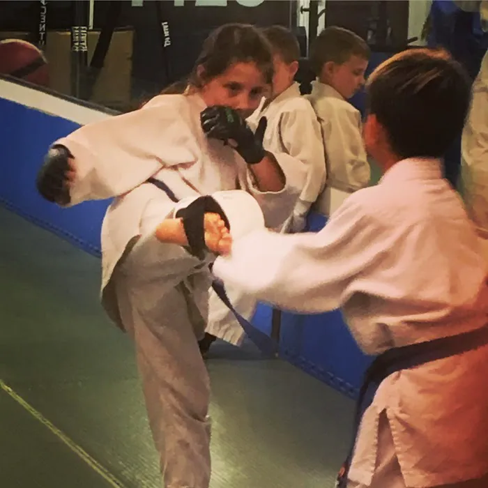 Yoshida Dojo Picture 9