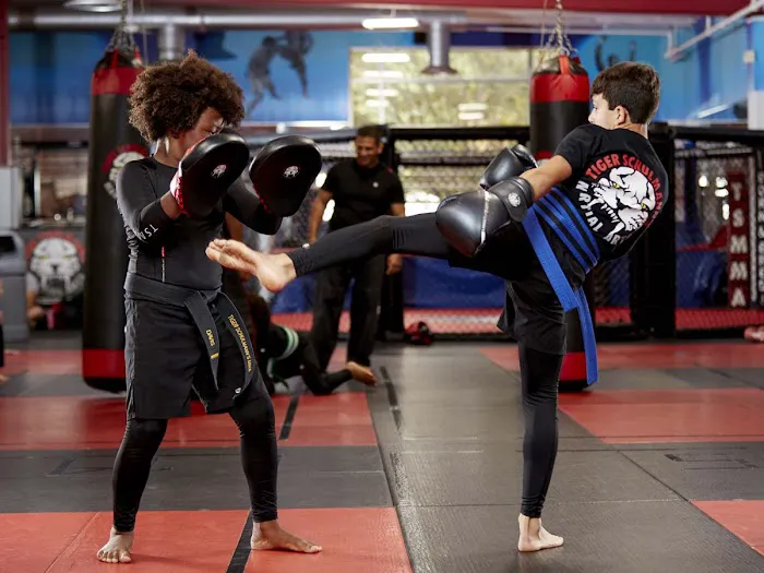 Tiger Schulmann's Martial Arts (Upper East Side, Manhattan, NY) Picture 1