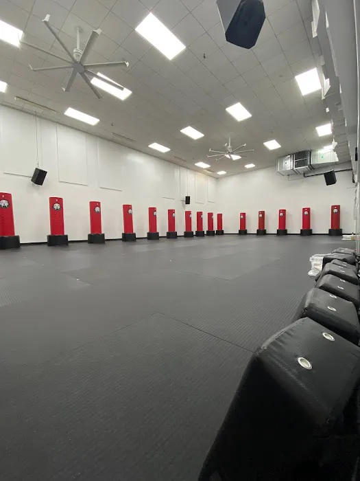 Tiger Schulmann's Martial Arts (Upper East Side, Manhattan, NY) Picture 4