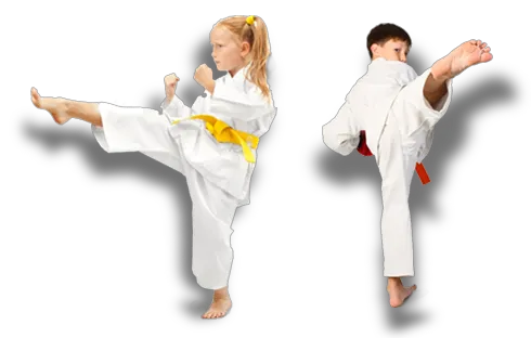 Okinawa Kenpo Karate Academy Picture 1