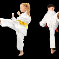 Okinawa Kenpo Karate Academy ico