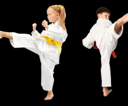 Okinawa Kenpo Karate Academy