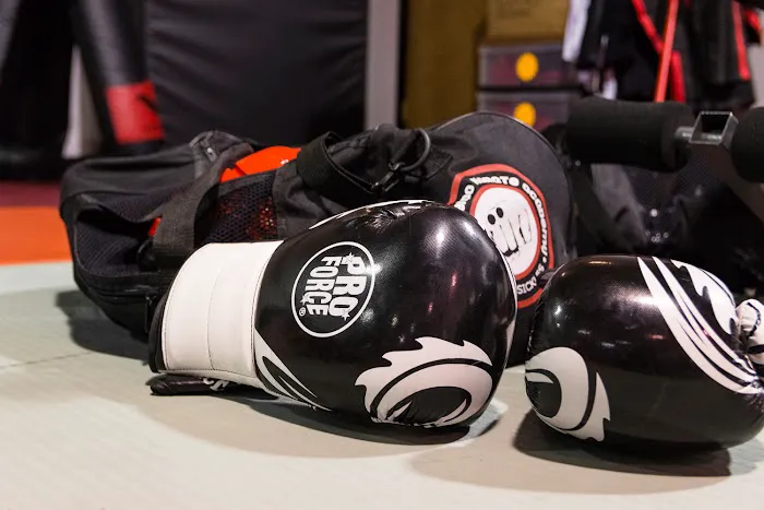 Okinawa Kenpo Karate Academy Picture 2